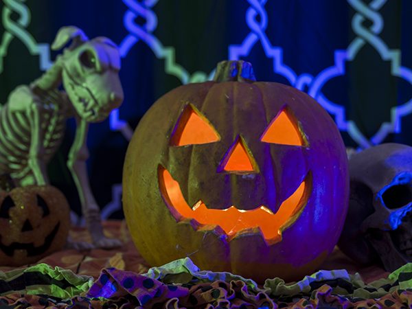 Pumpkin, skull and small pumpkin halloween decoration with green and blue lights