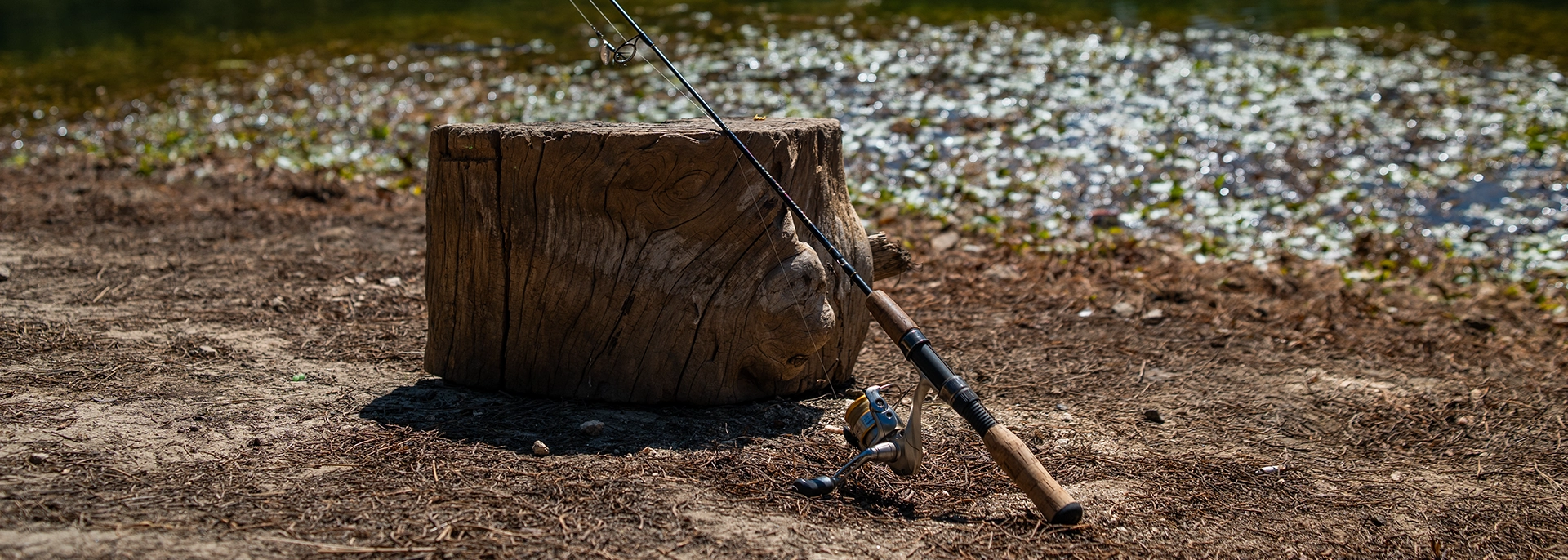 Fishing pole sitting on ground near lake